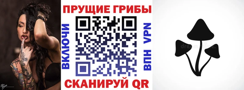 гидра сайт  Олонец  Псилоцибиновые грибы мухоморы  наркота 